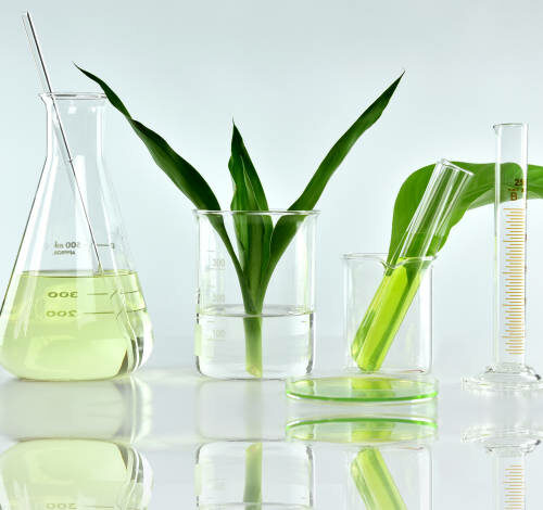 formules simples avec les meilleurs ingrédients d’origine naturelle Natural organic botany and scientific glassware, Alternative herb medicine, Natural skin care beauty products, Research and development concept.