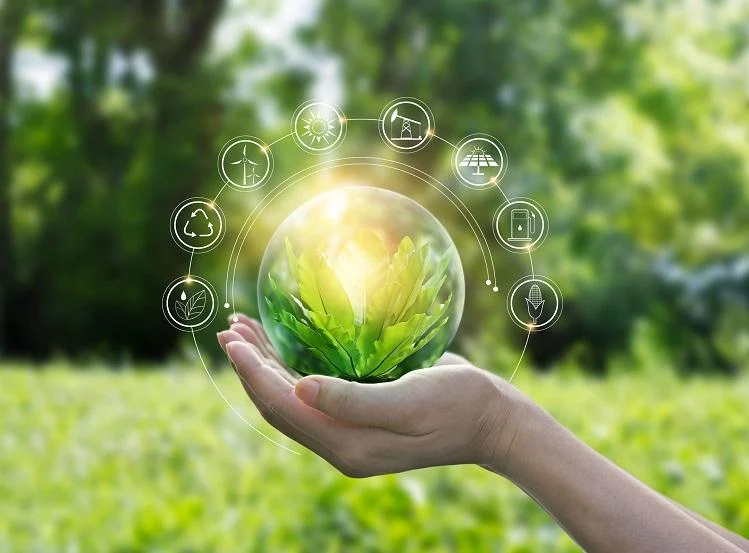 Hands protecting globe of green tree