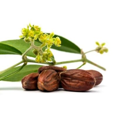 huile de jojoba huile de jojoba