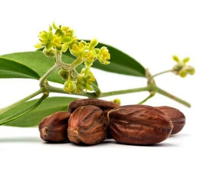 huile de jojoba