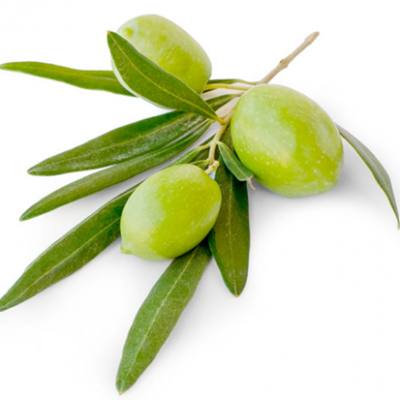 olive olive